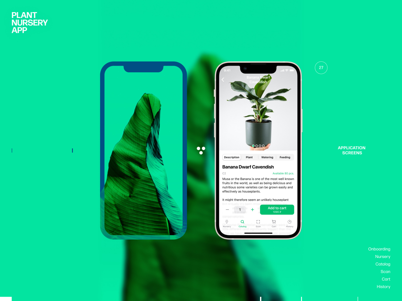 Plant nursery app by Eugene Sokolovski on Dribbble