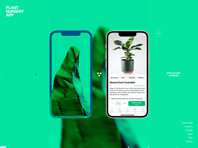 Plant nursery app application botanical design graphic design green illustration leaves logo mobile plant ui