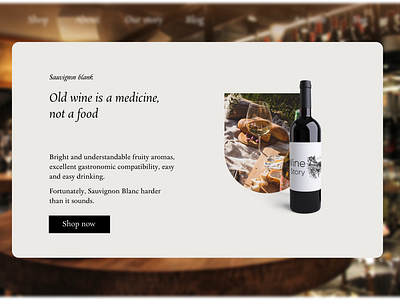 Shot from Landing page for 'Wine Story' Store