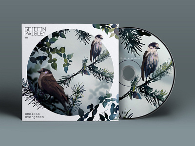 Endless Evergreen Album Cover album album art album cover branding design flat graphic design illustration