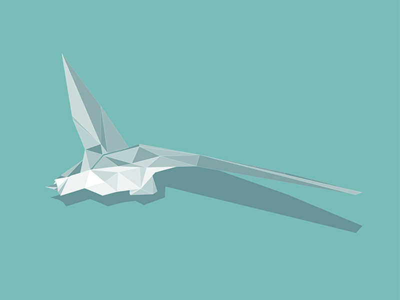 Seagull gif animation design gif origami seagull