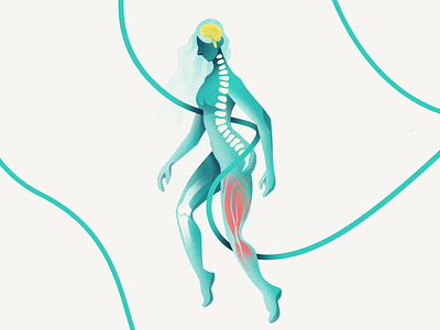 Hero Illustration for About us page aeon bone brain design female grain human illustration ipad muscle procreate ribbon spine