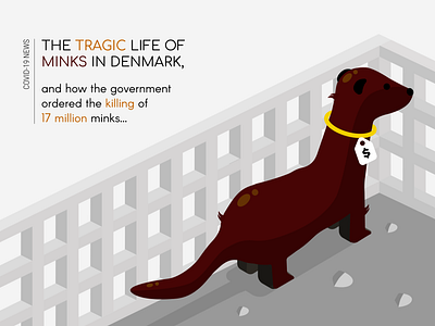 Infographic [Minks in Denmark] design digital digital illustration graphic graphic design graphics illustration information information design