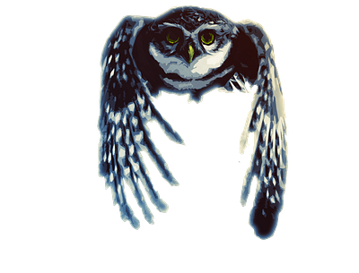 OvO blue flight illustration night nocturnal owl