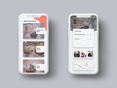 Hairdressing app concept