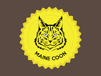 Maine Coon Cat animal cat cat lovers kitty maine maine coon pet