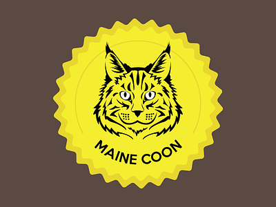 Maine Coon Cat