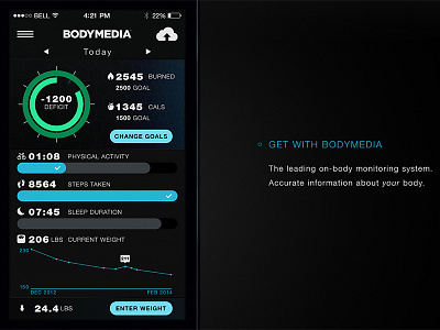 Bodymedia Fit app bodymedia fitness iphone redesign ui ui design user interface ux