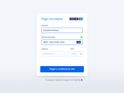 Check Out checkout clean form input payment flow web design blue
