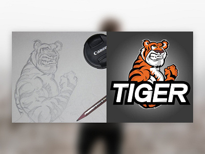 Tiger Sketch cartoon design illustration tiger vector