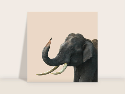 Poster - Elephant's hand pencil concept design creative illusion