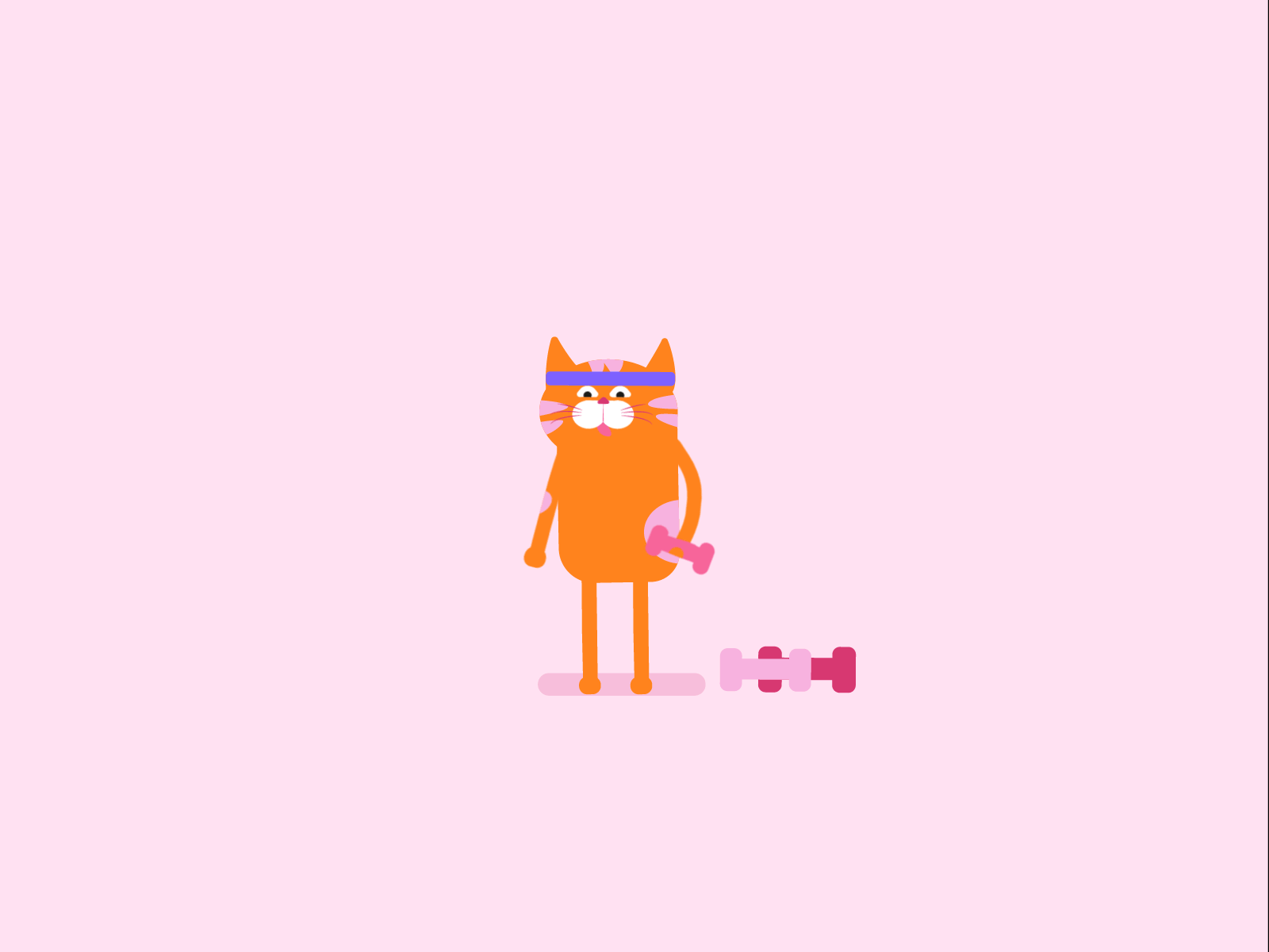 Hello Dribbble Cat Workout animation hello dribbble