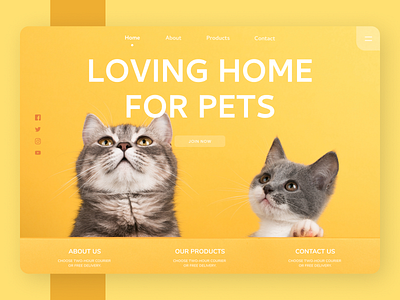 Pets Web Design