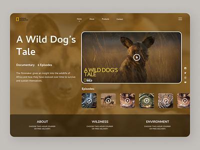 Wild Dog Tale Web design ui