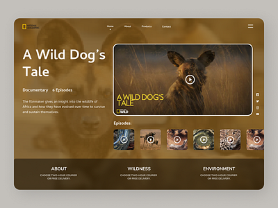Wild Dog Tale Web