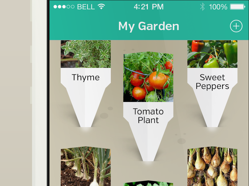 My Garden by Greg Beldam on Dribbble