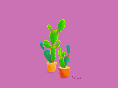 Cacti