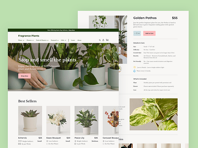 Plant store website concept