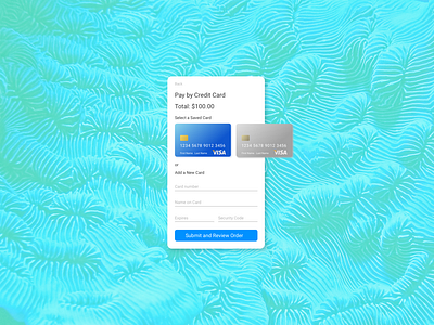 dailyui 002 Credit Card Payment