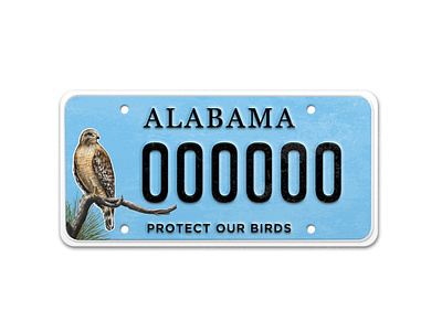 Audubon Auto Tag alabama artist audubon branding design graphic design graphic designer illustration license plate typography