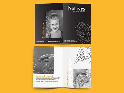 Natives Haircare Brochure branding graphic design illustration