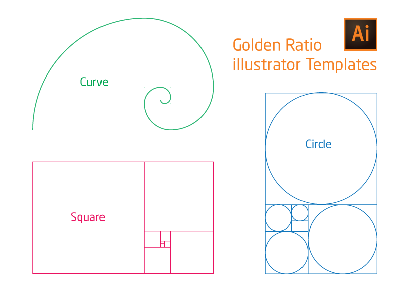 Golden Ratio illustrator Template AI+SVG by Ravi Joon on Dribbble