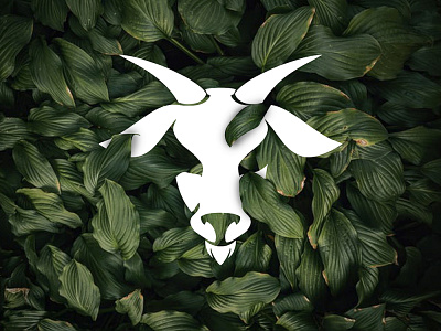 Eko Budi Dribbble Eko Budi Dribbble