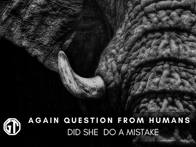 Again Question From Humans