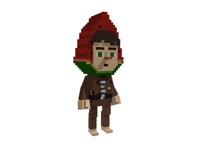 Wawa Voxel