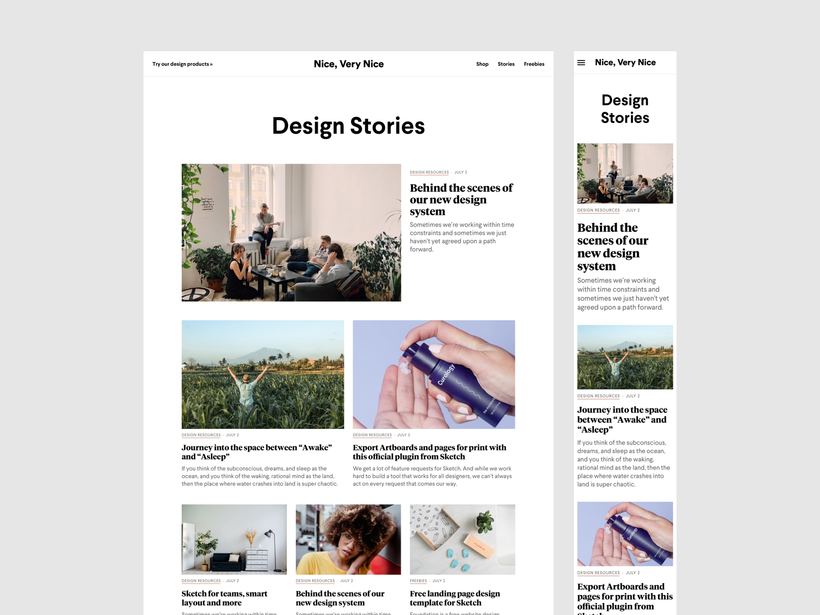 Nice, Very Nice Blog: WIP by Vladimir Kudinov on Dribbble