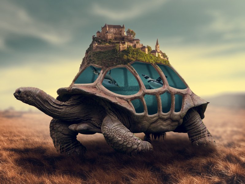 Tortoise Aquarium adobe animal art design graphic manipulation penguin photo photoshop tortoise