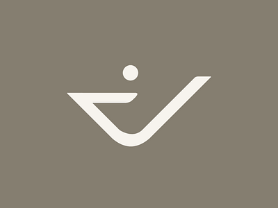 d + v Logo branding design dlogo dvlogo logo vlogo