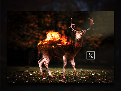 DEER MANIPULATION digital art digital imaging fire manipulation manipulation manipulation inspiration photoshop