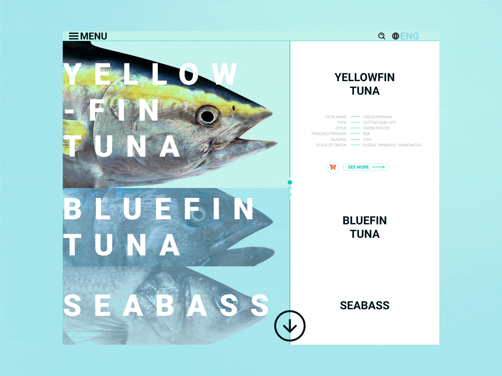 RPC Nothern Web design concept catalog catalog design fish fishing food menu product design products river sea seafood
