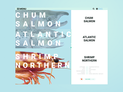 RPC Nothern Web design concept catch design design art fish fishing food minimal minimalism north river sea seafood ui water web web design website