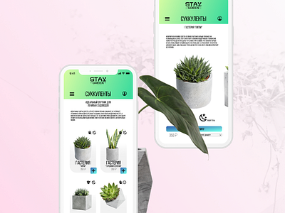 STAY GREEN |  Mobile version website design concept