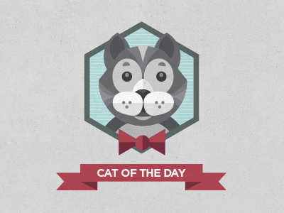 Cat of the day animal cat flat illustration medal