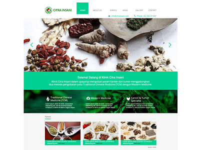 Citra Insani chinese clinic doctor herbs medical ui website