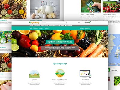 Agrowing Homepage Redesign agent delivery e commerce farmer fruit indonesia local location maps order service vegetable