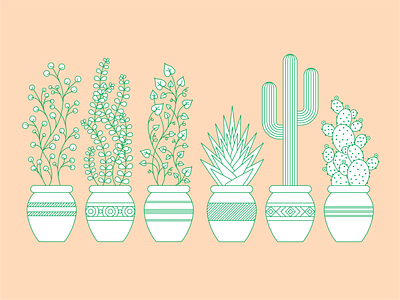 Geometric Plants, Succulents + Cacti oh my! cacti cactus geometric icon illust illustration letterpress linework minimalist pattern plant succulent vine