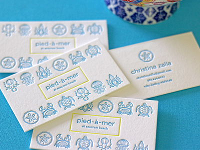 pied-a-mer letterpress business cards beach crab fish illustration jellyfish letterpress linework octopus sand dollar squid turtle water