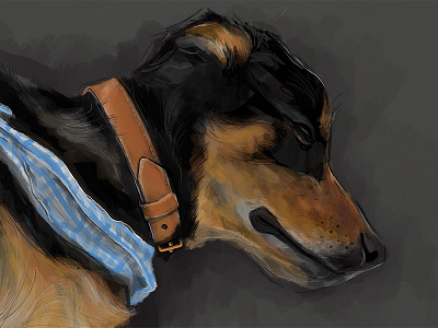 Sleeping Doggy bandana basset hound collar dog doggy drawing portrait puppy sketch sleeping