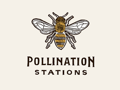 Pollination Stations (Secondary) bee brown flower hand drawn honey honeybee illustration logo mustard pollination woodcut yellow