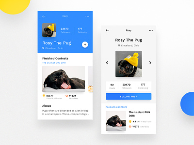 Mobile Profile Cards - The Pug app blue cards clean contest dog ios mobile profile pug user