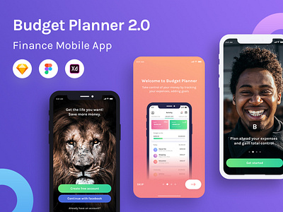 Budget Planner 2.0 Product Image