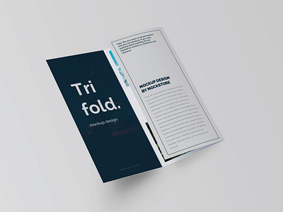 Trifold Brochure Mock Up