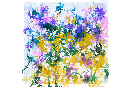 Clematis brush clematis illustration vine