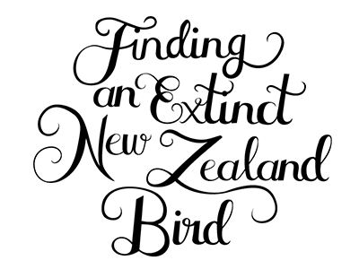 Takahe Project bird ixdbelfast lettering new zealand takahe