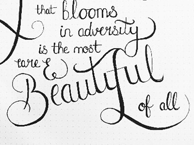 Bloom in Adversity beautiful flower ixdbelfast lettering typography