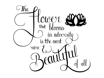 Bloom in Adversity - Vectorised beautiful flower hand lettering ixdbelfast lettering typography